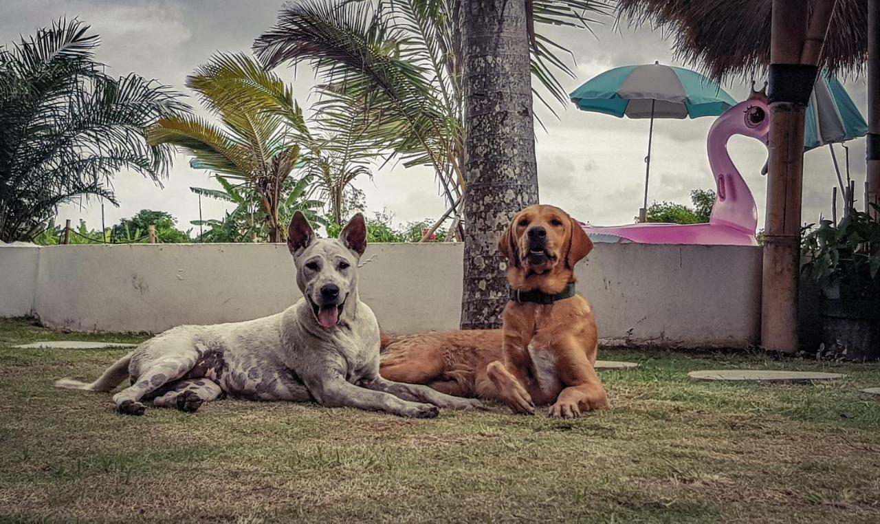 Clandestino * Canggu